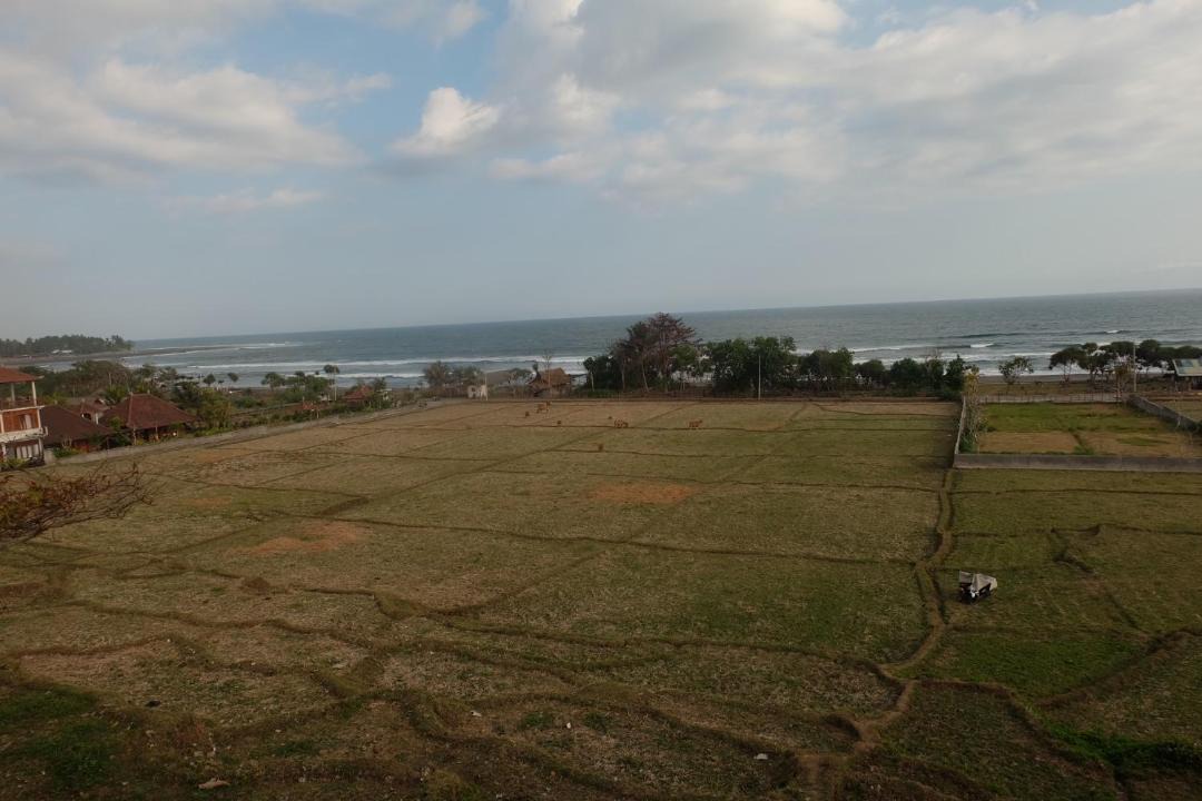 Photo of Others in Mendoyo