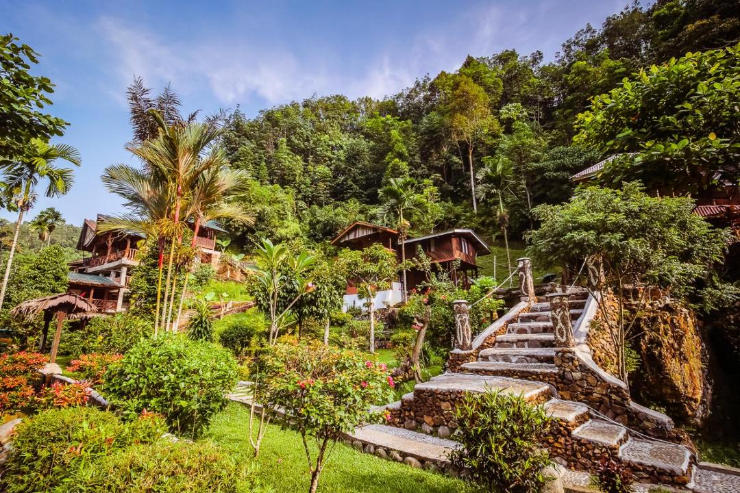 Photo of Others in Bukit Lawang