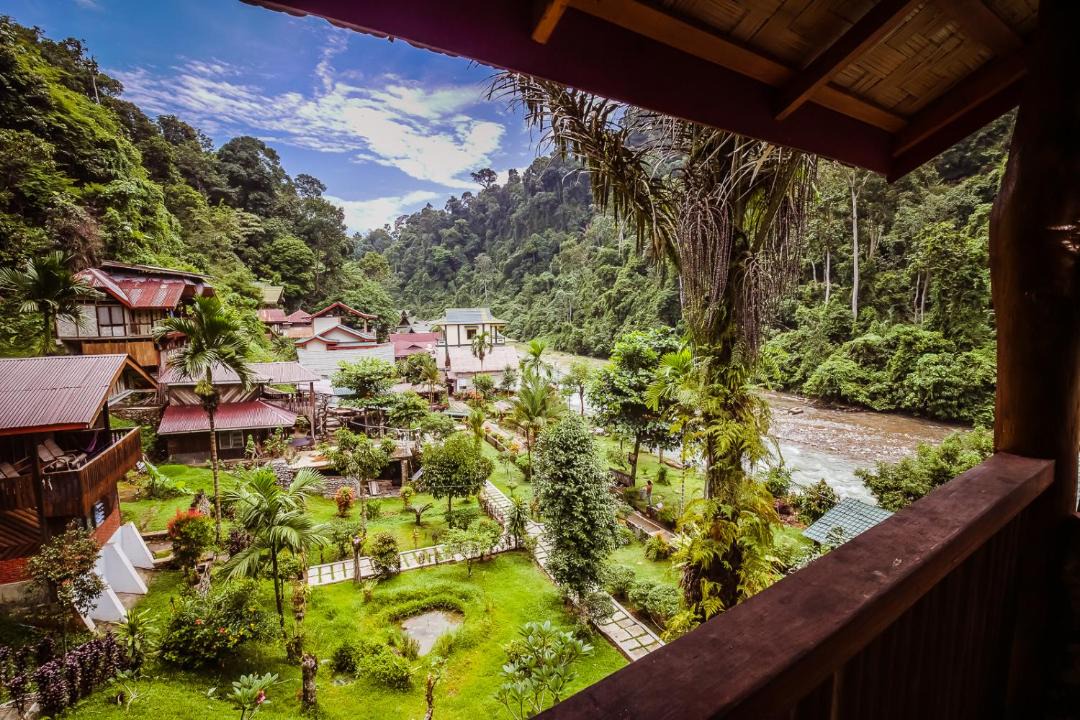 Photo of Others in Bukit Lawang