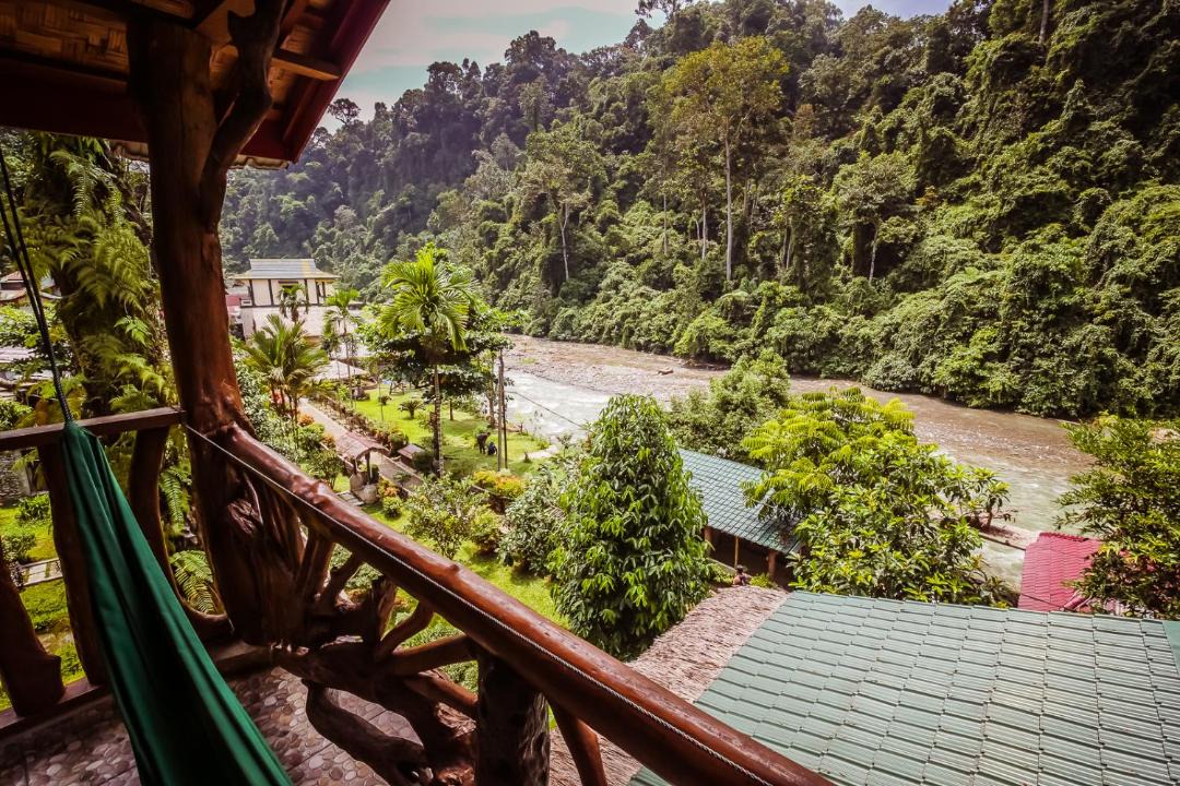 Photo of Others in Bukit Lawang