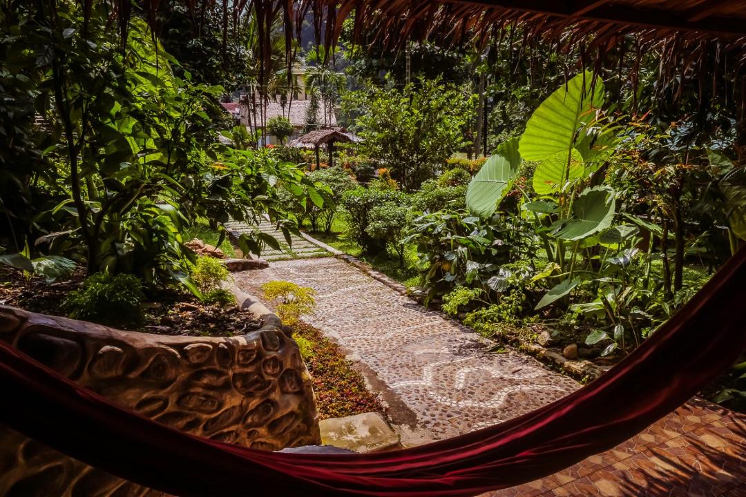 Photo of Others in Bukit Lawang