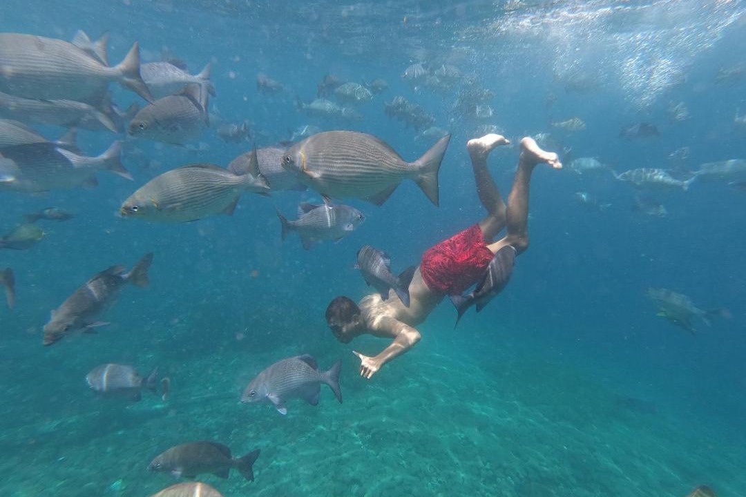 Photo of Others in Mansuar Island