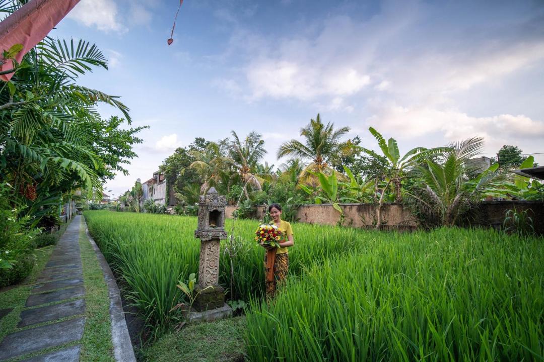 Photo of Others in Kedewatan