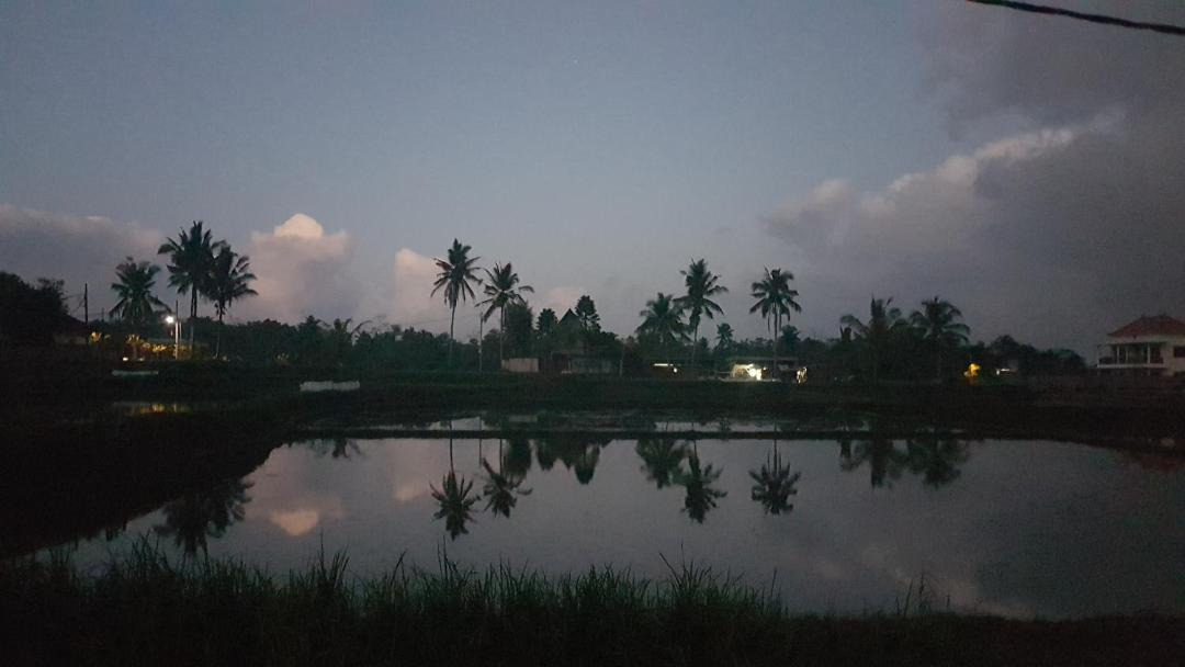 Photo of Others in Petulu