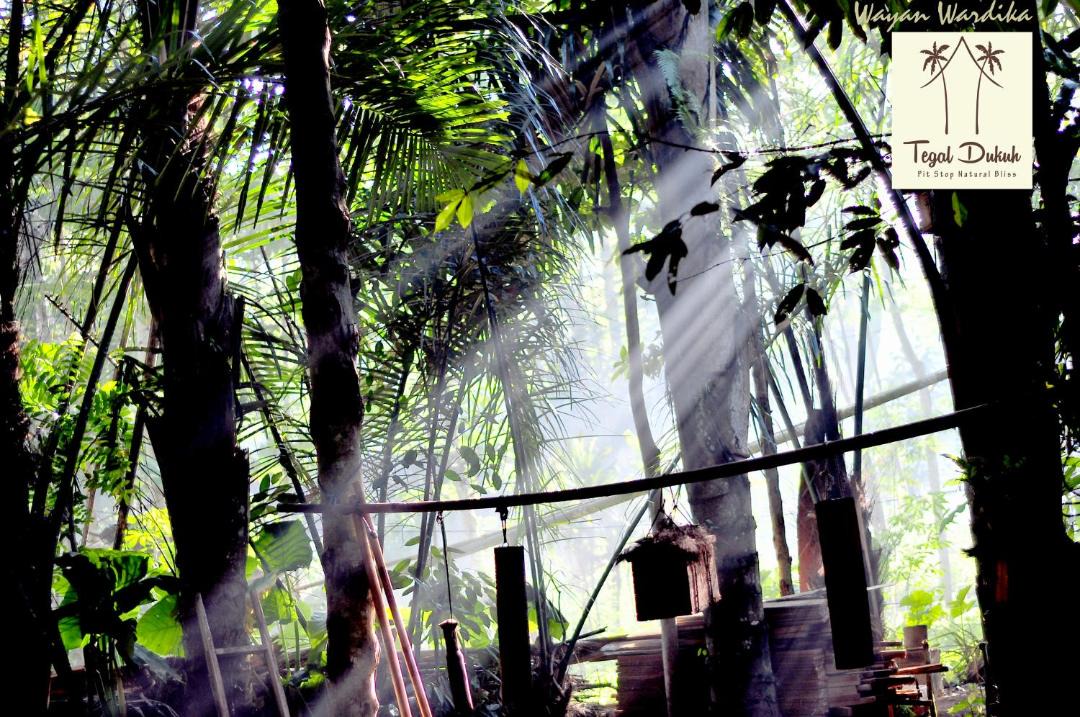 Photo of Others in Taro