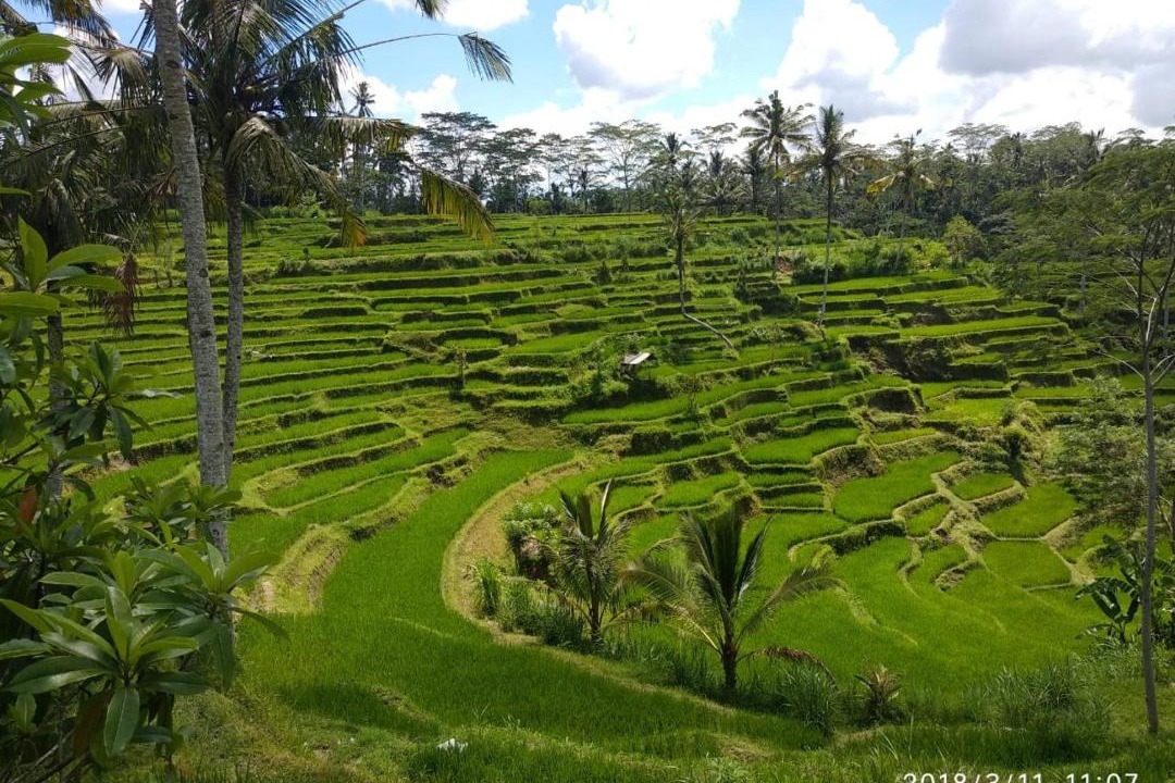 Photo of Others in Tampaksiring
