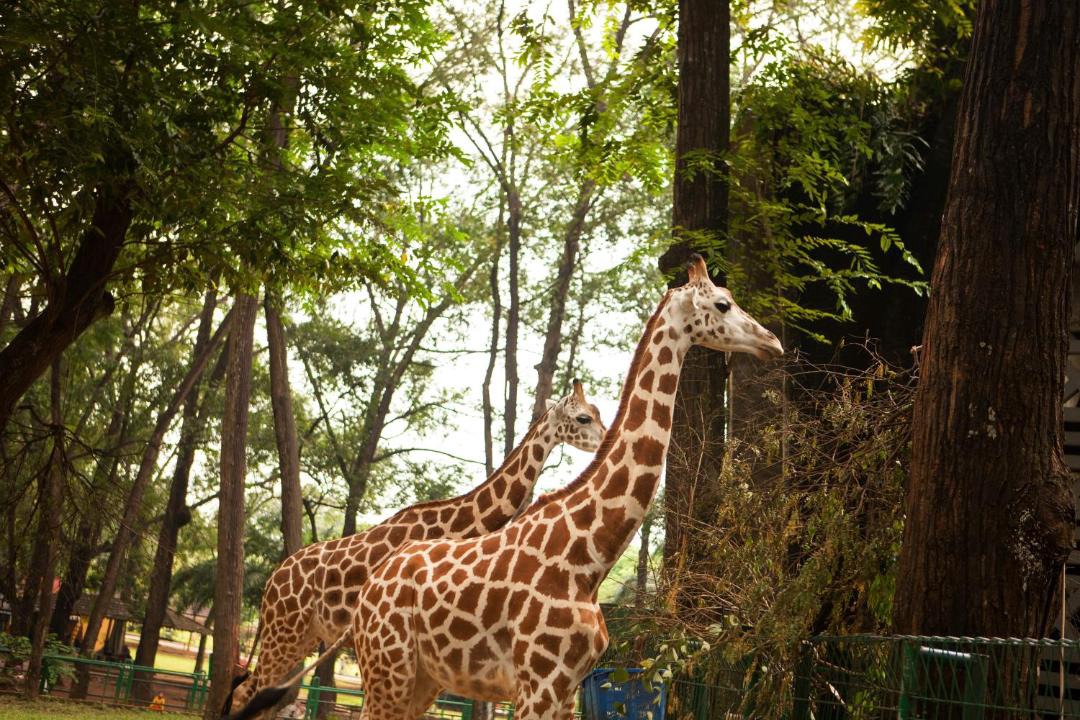 Photo of Others in Mampang Prapatan