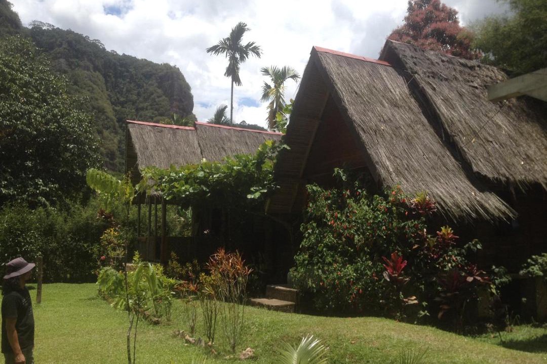 Photo of Others in Harau