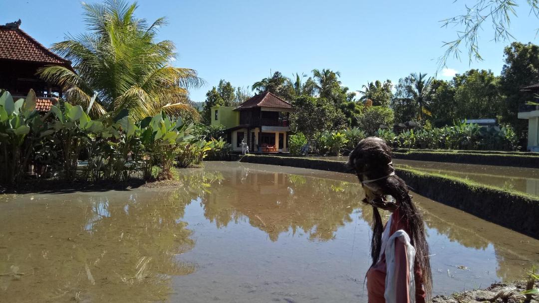 Photo of Others in Munduk