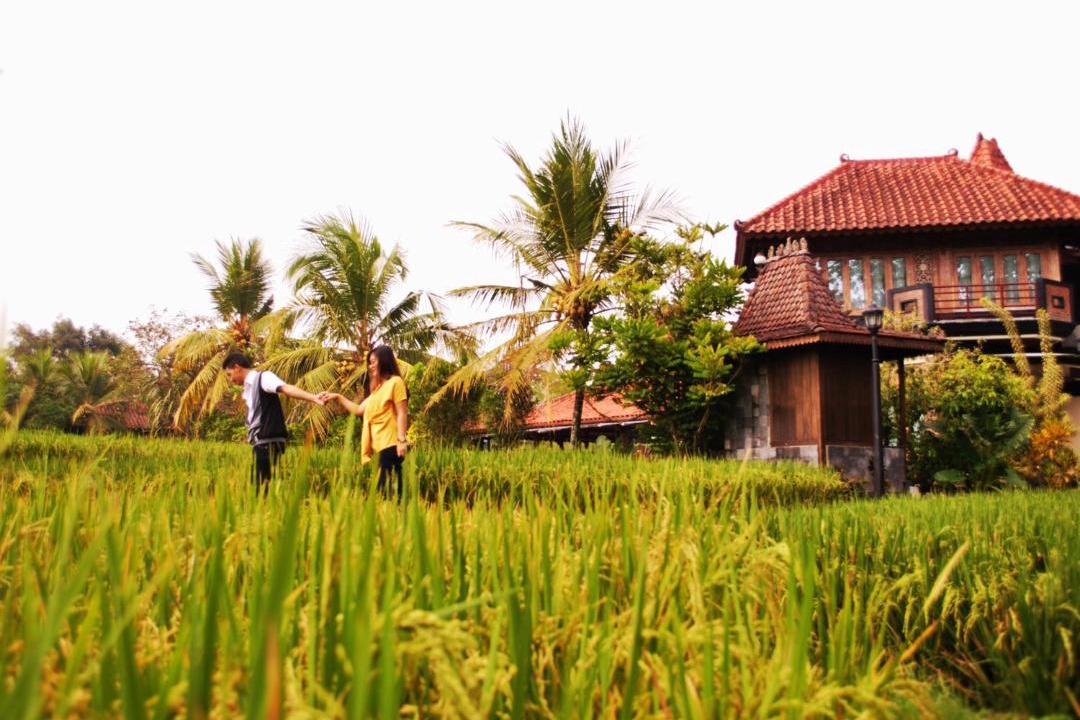 Photo of Others in Ngaglik