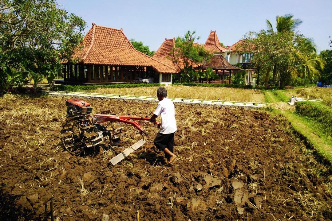 Photo of Others in Ngaglik