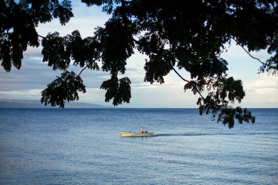 Photo of Others in Luwuk