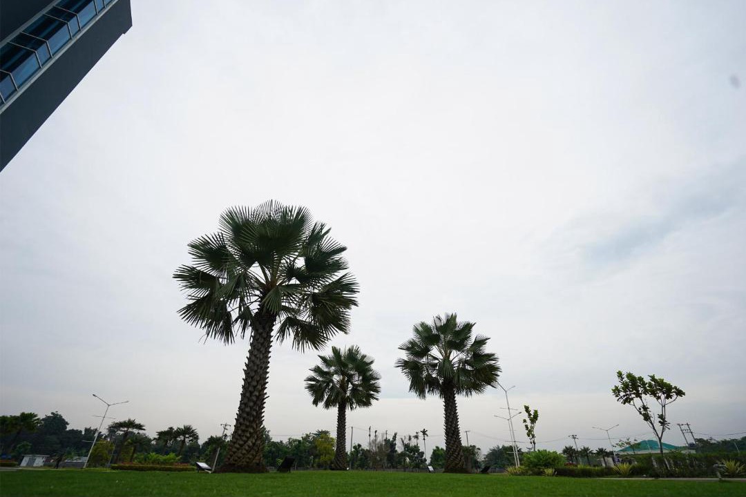 Photo of Others in Medan