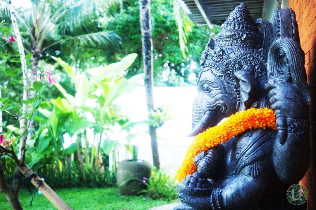 Photo of Others in Petulu