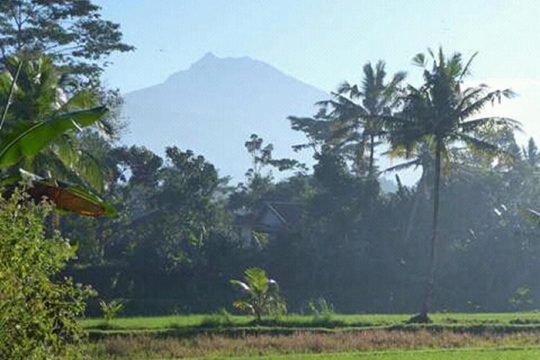 Photo of Others in Kecamatan Montong Gading