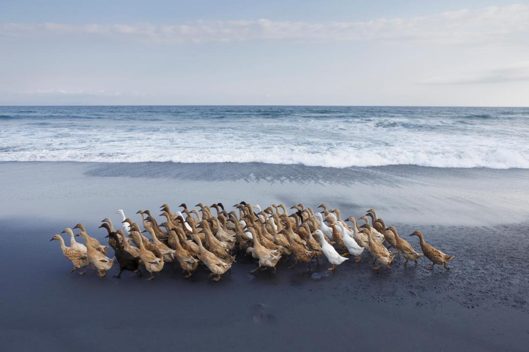 Photo of Others in Keramas