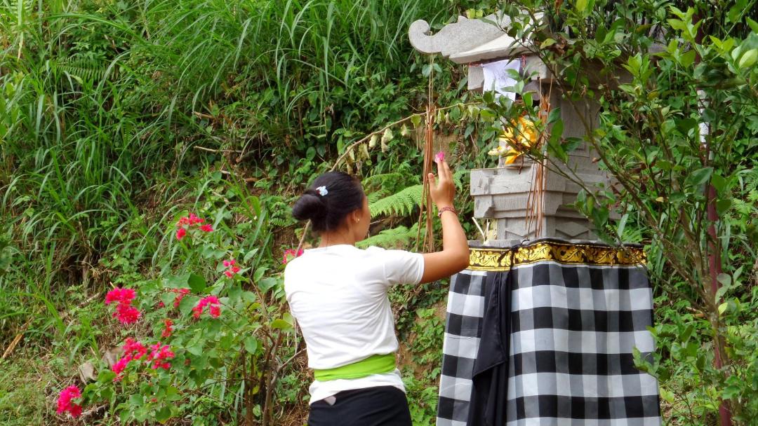 Photo of Others in Payangan