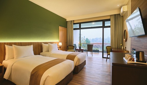 Deluxe Grand Twin Mountain View