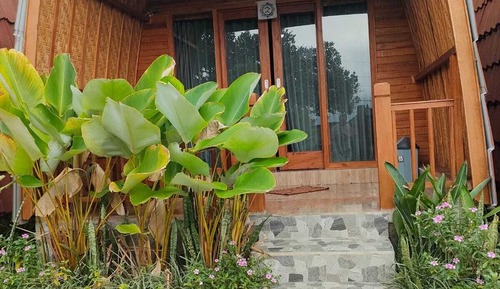 Deluxe Double Room, Pool View