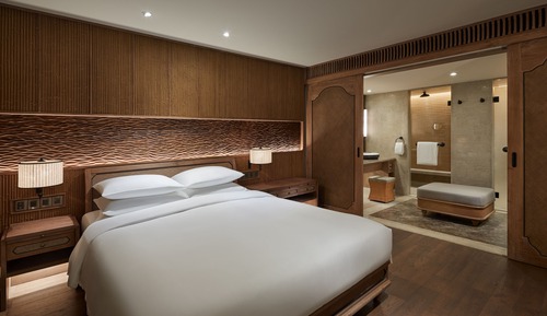 Room, 1 King Bed