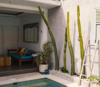 One-Bedroom Villa