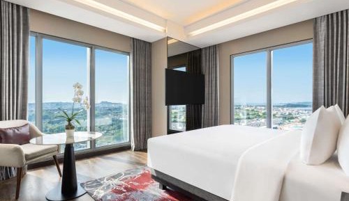 Deluxe King Suite with City View