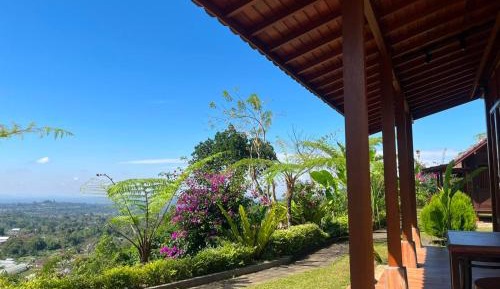 Double Room with Garden View