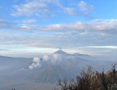 Guesthouse of 4 Person Included Private Bromo Trip and Entrance Fee