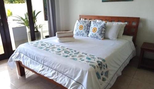 Triple Room with Pool View