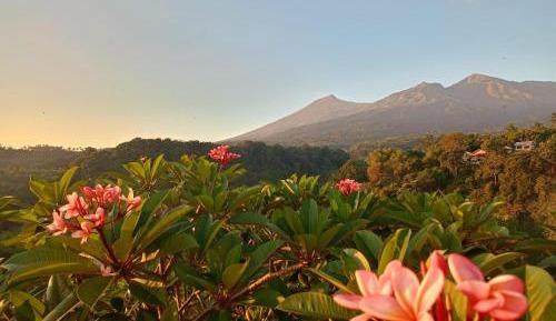 Double Room with Mountain View