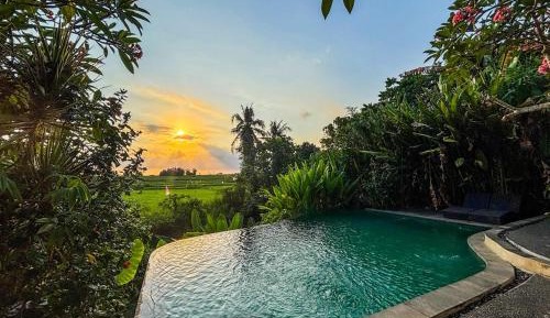 Double Room with Pool View