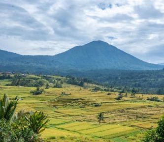 Gladak Villa Ricefield View with Free Cycling