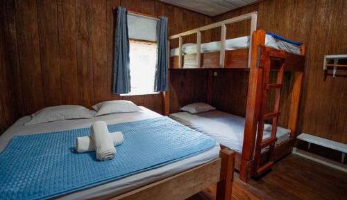 Bunk Bed in Mixed Dormitory Room