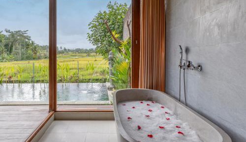 One-Bedroom Villa with Rice Field View
