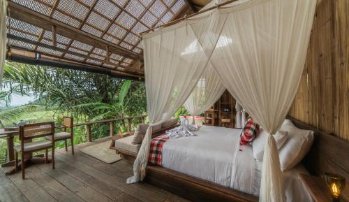 One-Bedroom Villa