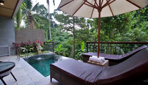 Suite Twin with Private Pool and Jungle View 