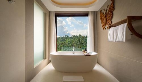 Premier Suite with Valley View 