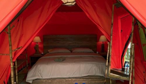 Tent