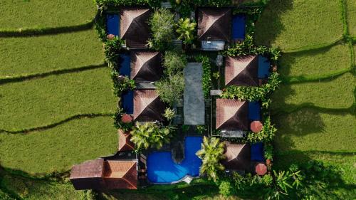 One Bedroom Private Pool Villa with Paddies View
