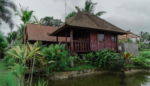 Superior Villa