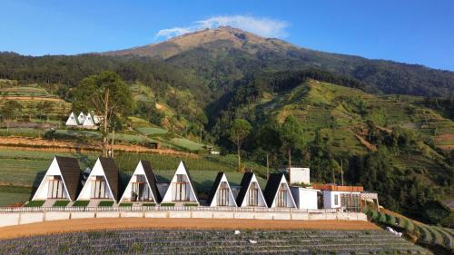 Double Room with Mountain View