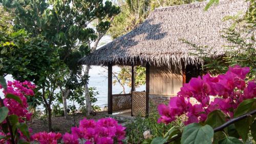 Bungalow - Beach Front