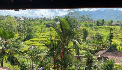 Deluxe Room Rice Terrace with Living Room