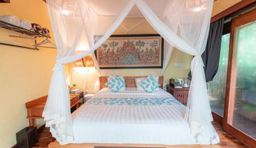 Holy Retreat Room with Jungle View