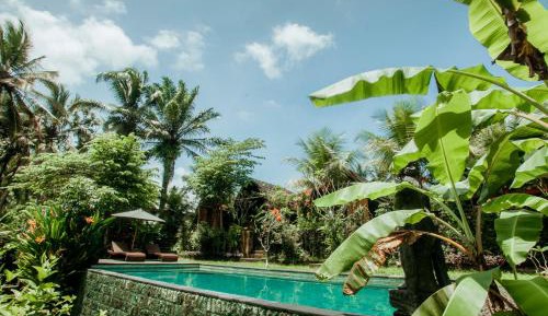 Double Room with Pool View