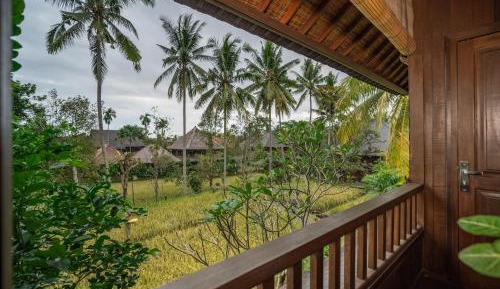 Deluxe Rice field View