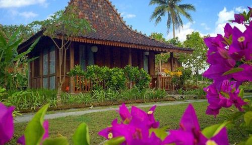 Deluxe Bungalow