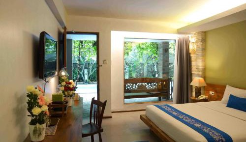 Deluxe Double or Twin Room