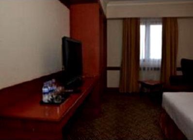 Deluxe Double or Twin Room with City View