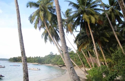 Pulau Masokut Hostel | Nyang Ebay Surf Camp